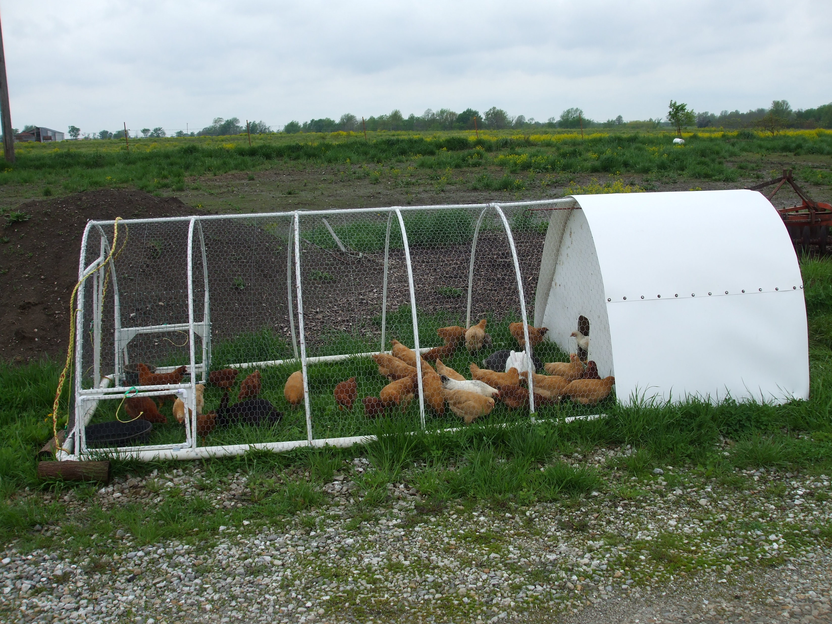 Chicken Tractor Images | Crazy Gallery