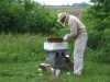 Langstroth Hive