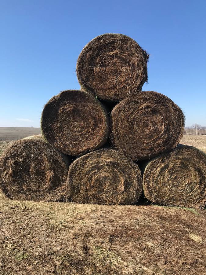 Round Bales VS Square Bales Lewis Family Farm